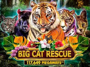 Big Cat Rescue Megaways screenshot
